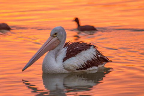 1 Murray Terrace-River Shack Rentals - Tourism Townsville 9